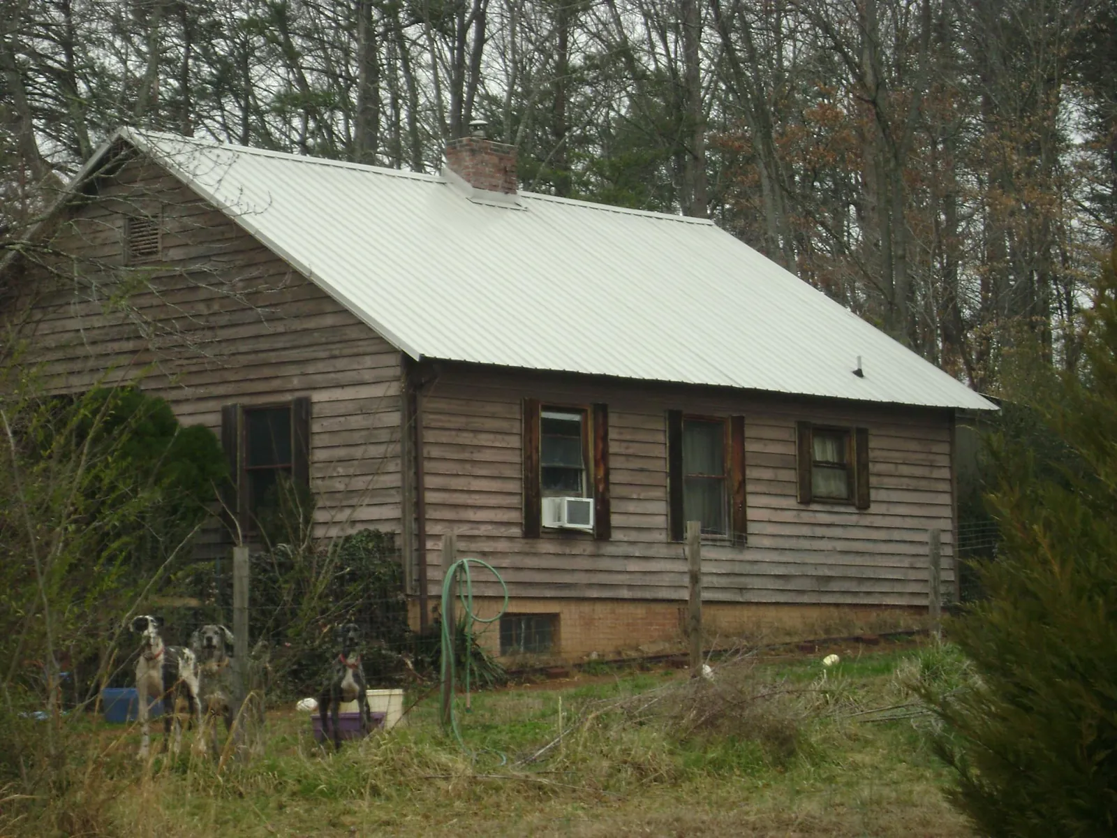 White metal roof on an old wood sided farmhouse, from a Asphalt Shingle Roof Repair job in Eleva